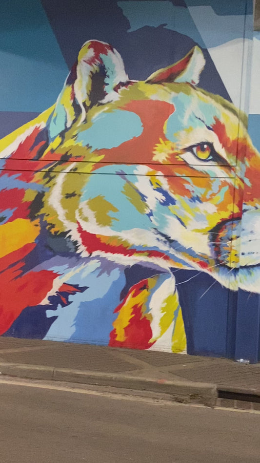 Florida Panthers Reverse Retro Inspired Earrings